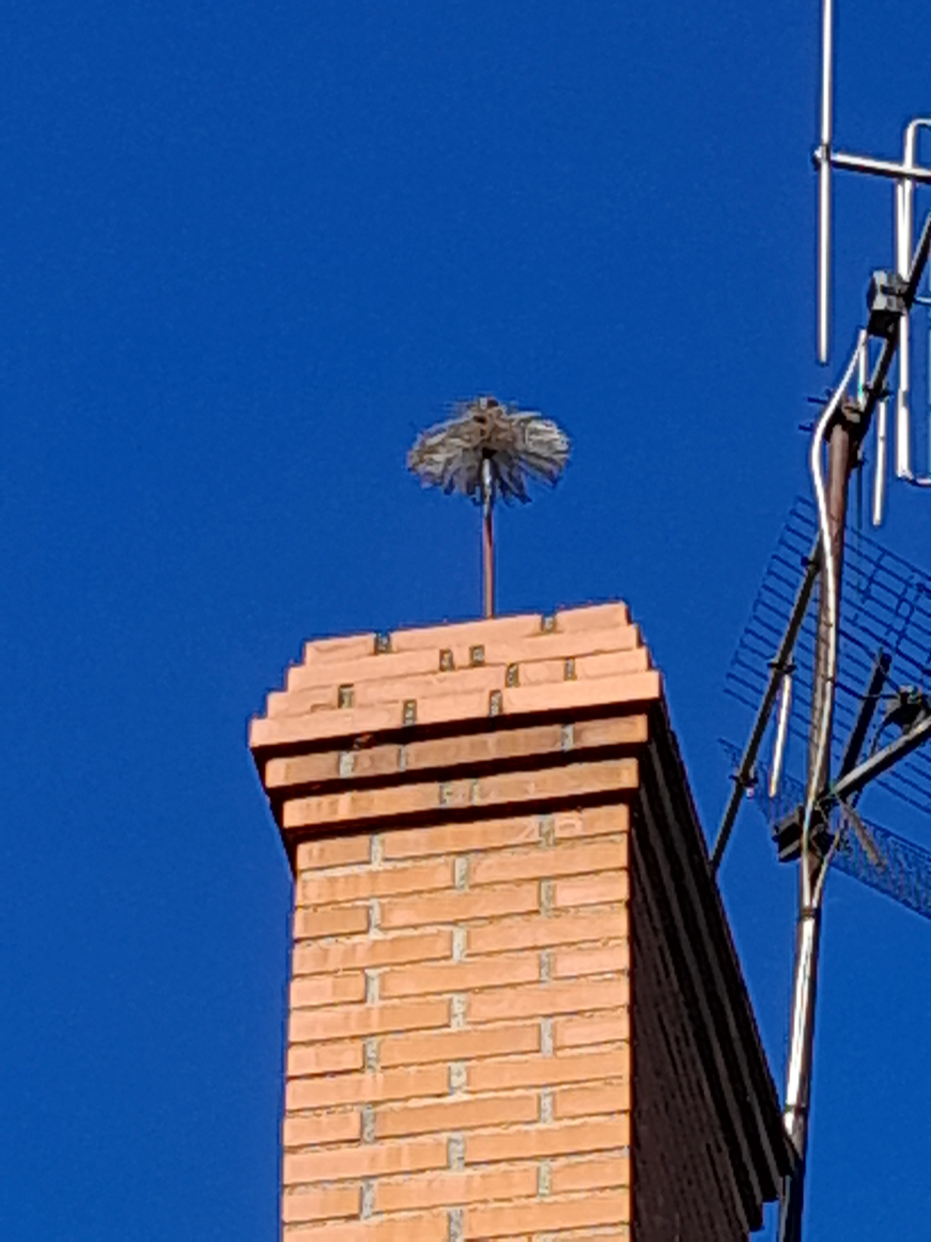 Photo d'un hérisson de ramonage qui sort d'une cheminée 